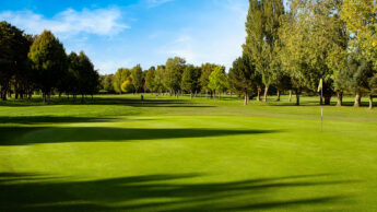 Downshire Golf Complex Hole 18 Green
