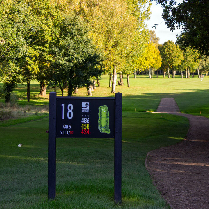 Downshire Golf Complex Hole 18 Tee