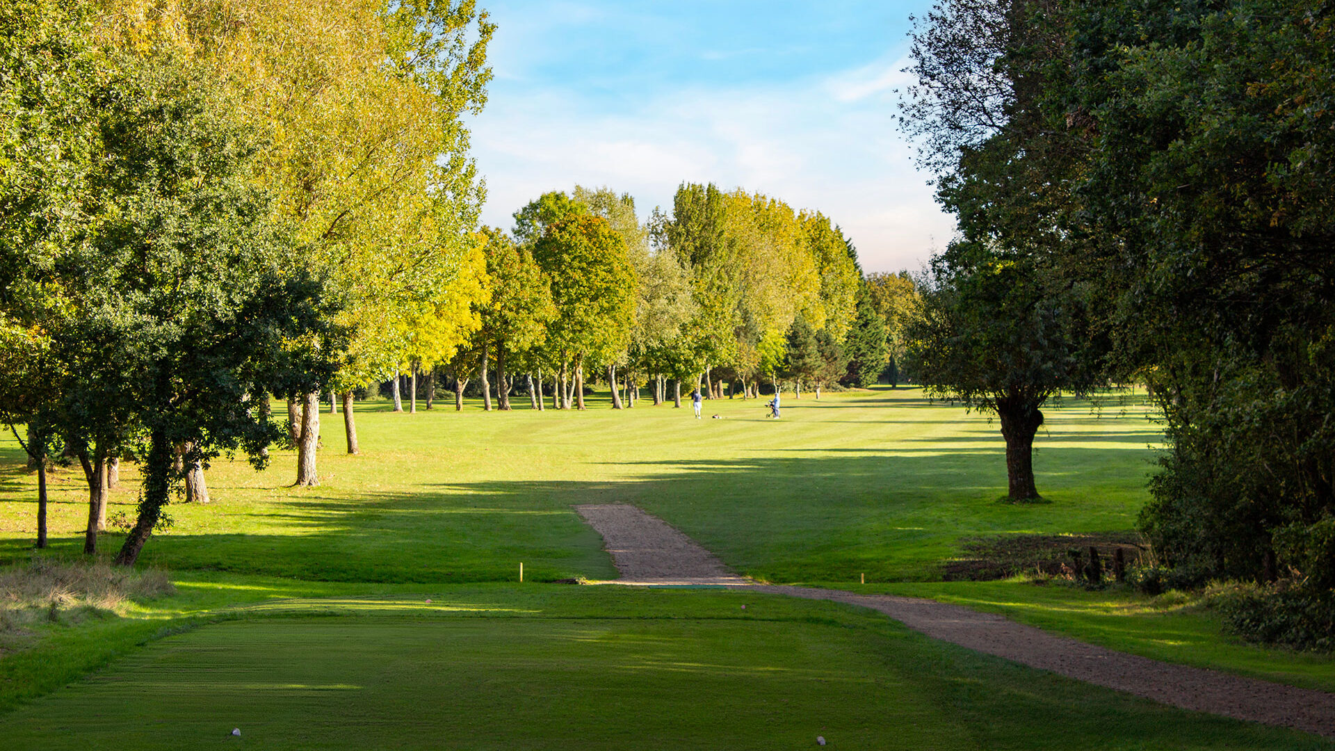 Downshire Golf Complex Hole 18 Tee