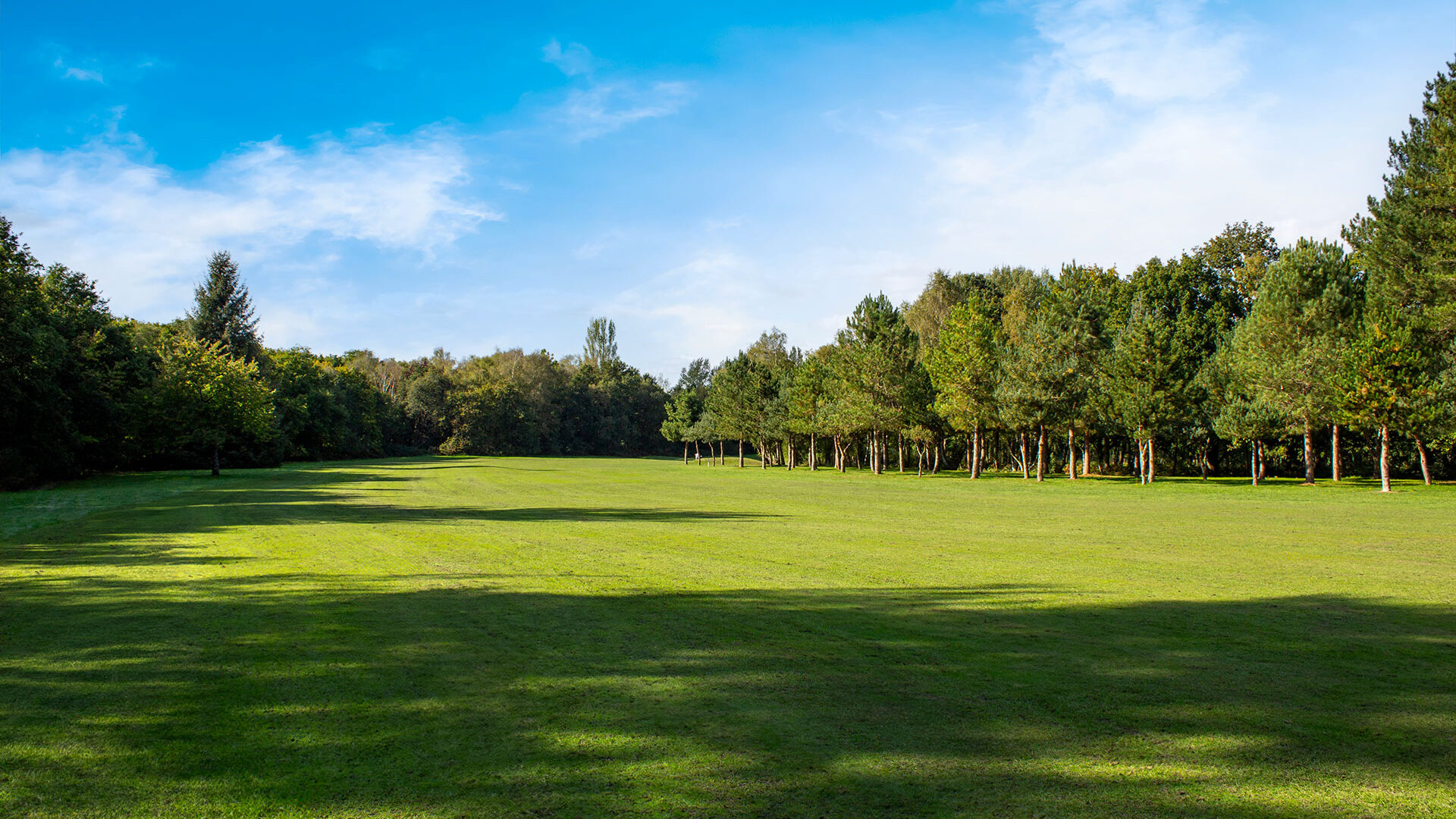 Downshire Golf Complex Hole 2 Fairway