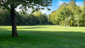 Downshire Golf Complex Hole 2 Fairway