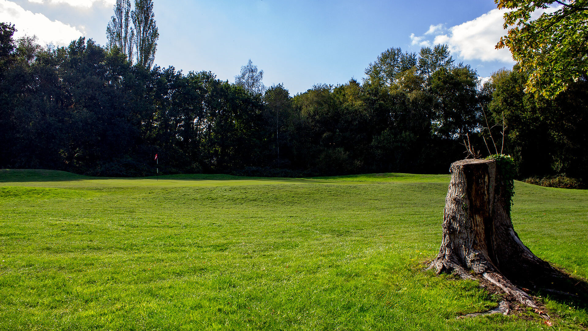 Downshire Golf Complex Hole 2 Green