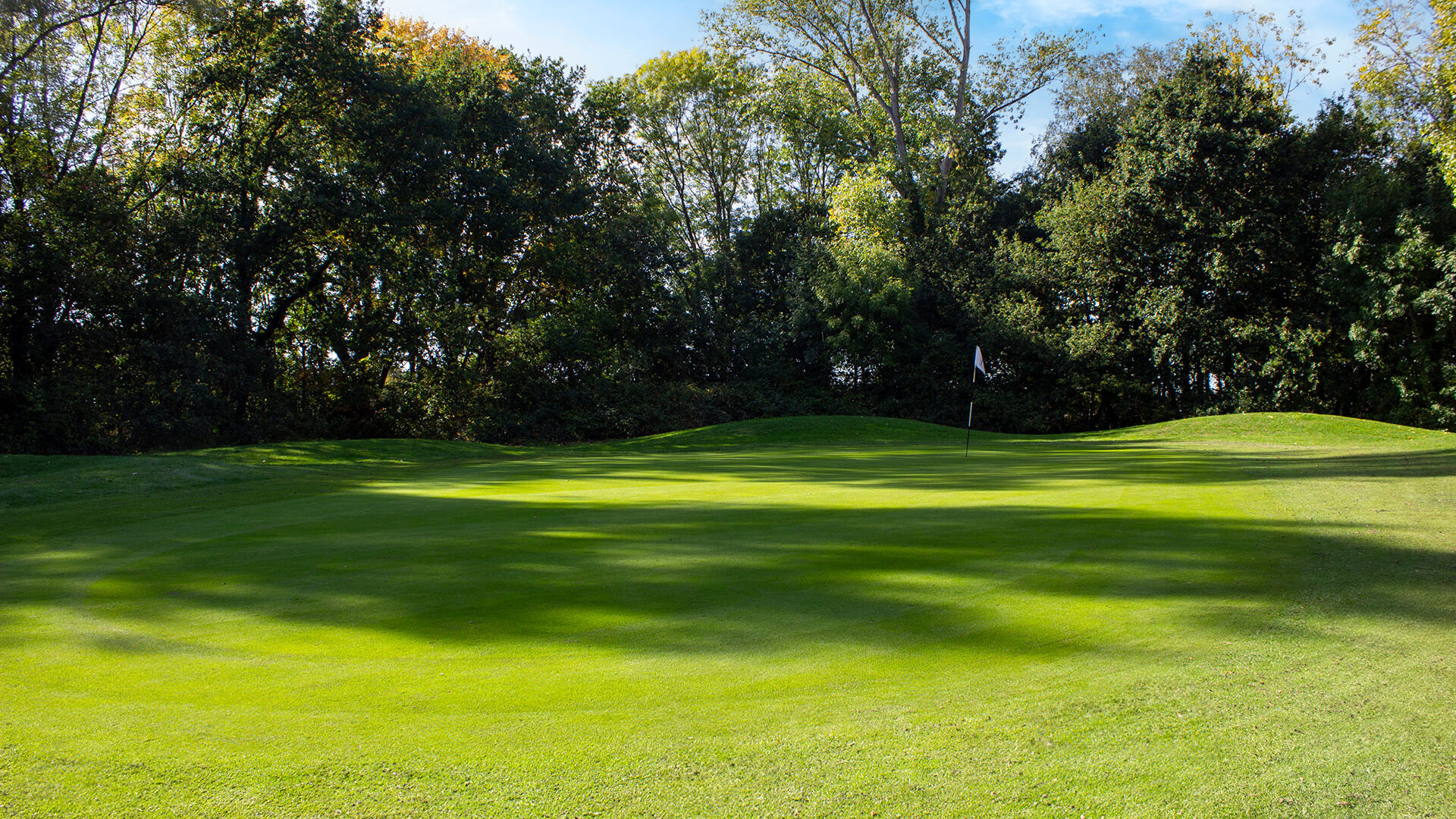 Downshire Golf Complex Hole 3 Green