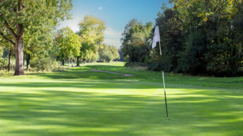 Downshire Golf Complex Hole 3 Green