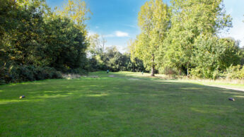 Downshire Golf Complex Hole 3 Tee