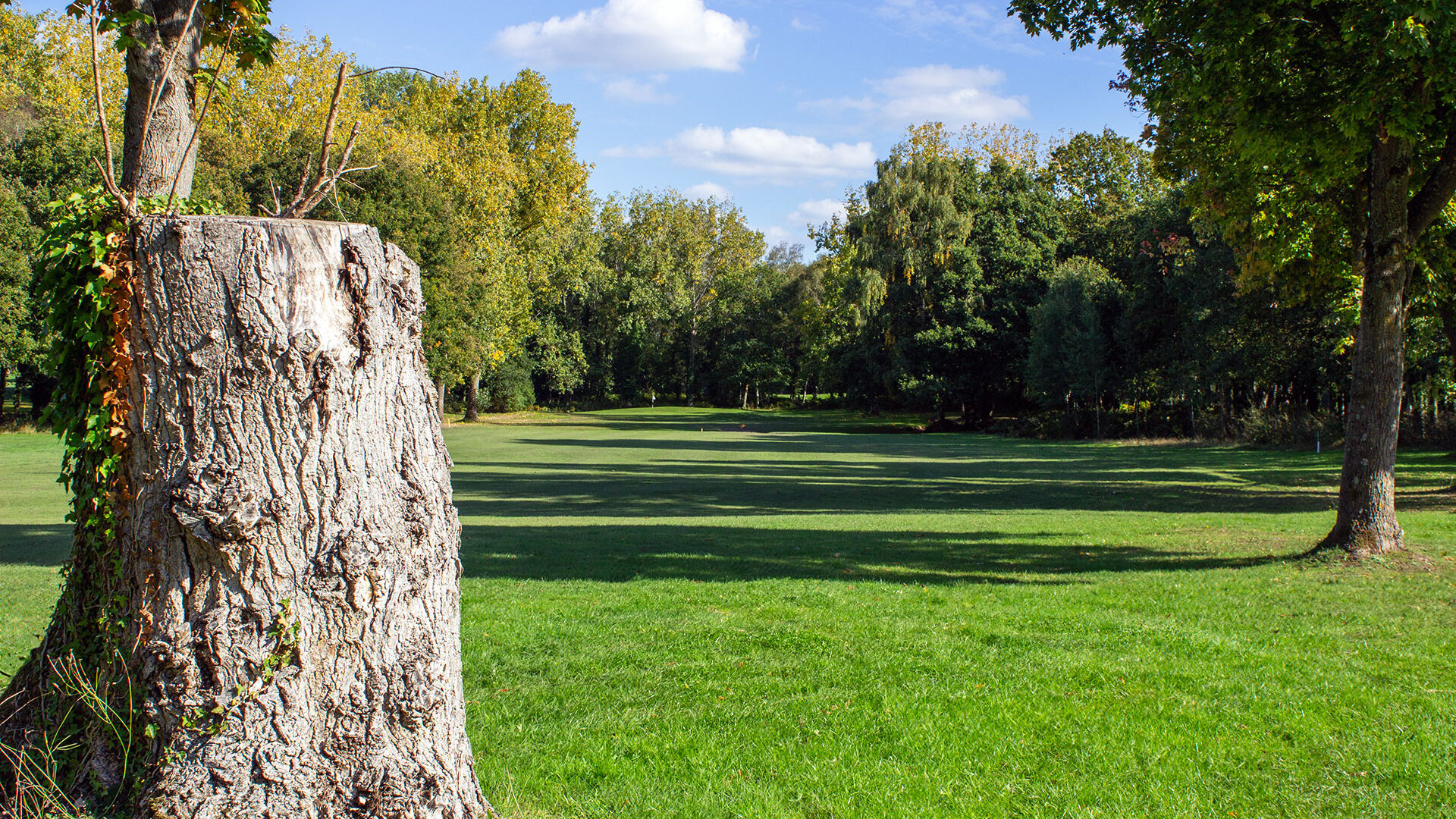 Downshire Golf Complex Hole 4 Fairway
