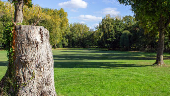 Downshire Golf Complex Hole 4 Fairway