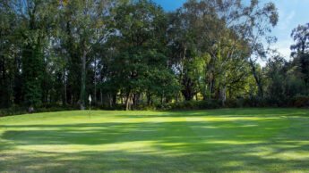 Downshire Golf Complex Hole 4 Green