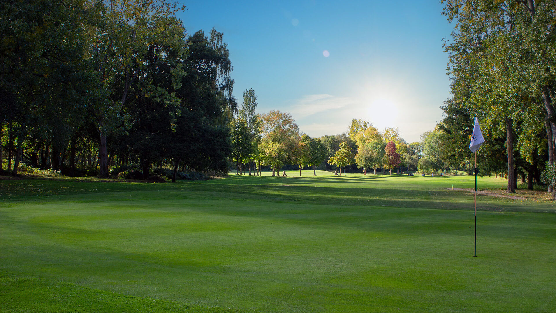 Downshire Golf Complex Hole 4 Green
