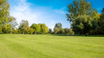 Downshire Golf Complex Hole 5 Fairway