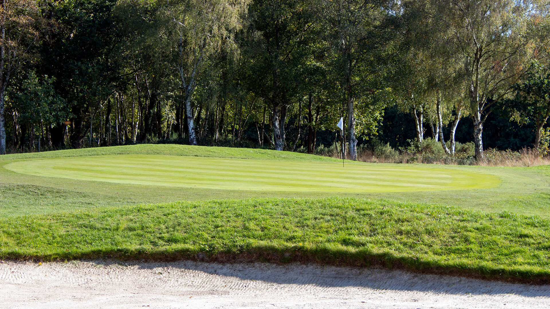Downshire Golf Complex Hole 5 Green