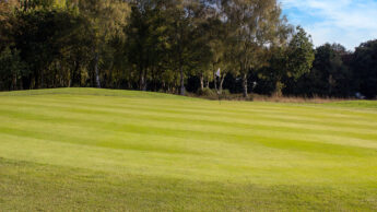 Downshire Golf Complex Hole 5 Green
