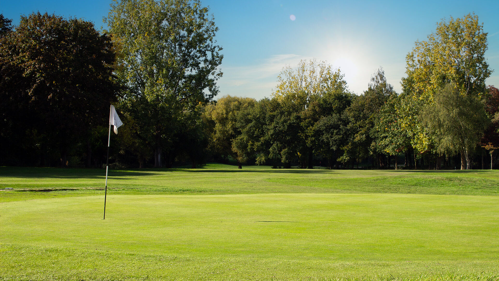 Downshire Golf Complex Hole 5 Green