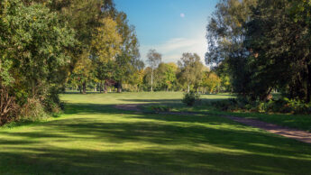 Downshire Golf Complex Hole 5 Tee