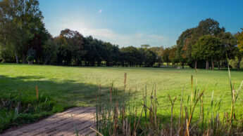 Downshire Golf Complex Hole 6 Fairway