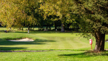 Downshire Golf Complex Hole 6 Green