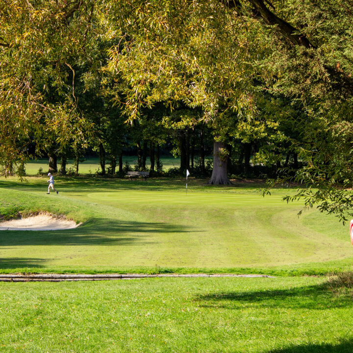 Downshire Golf Complex Hole 6 Green