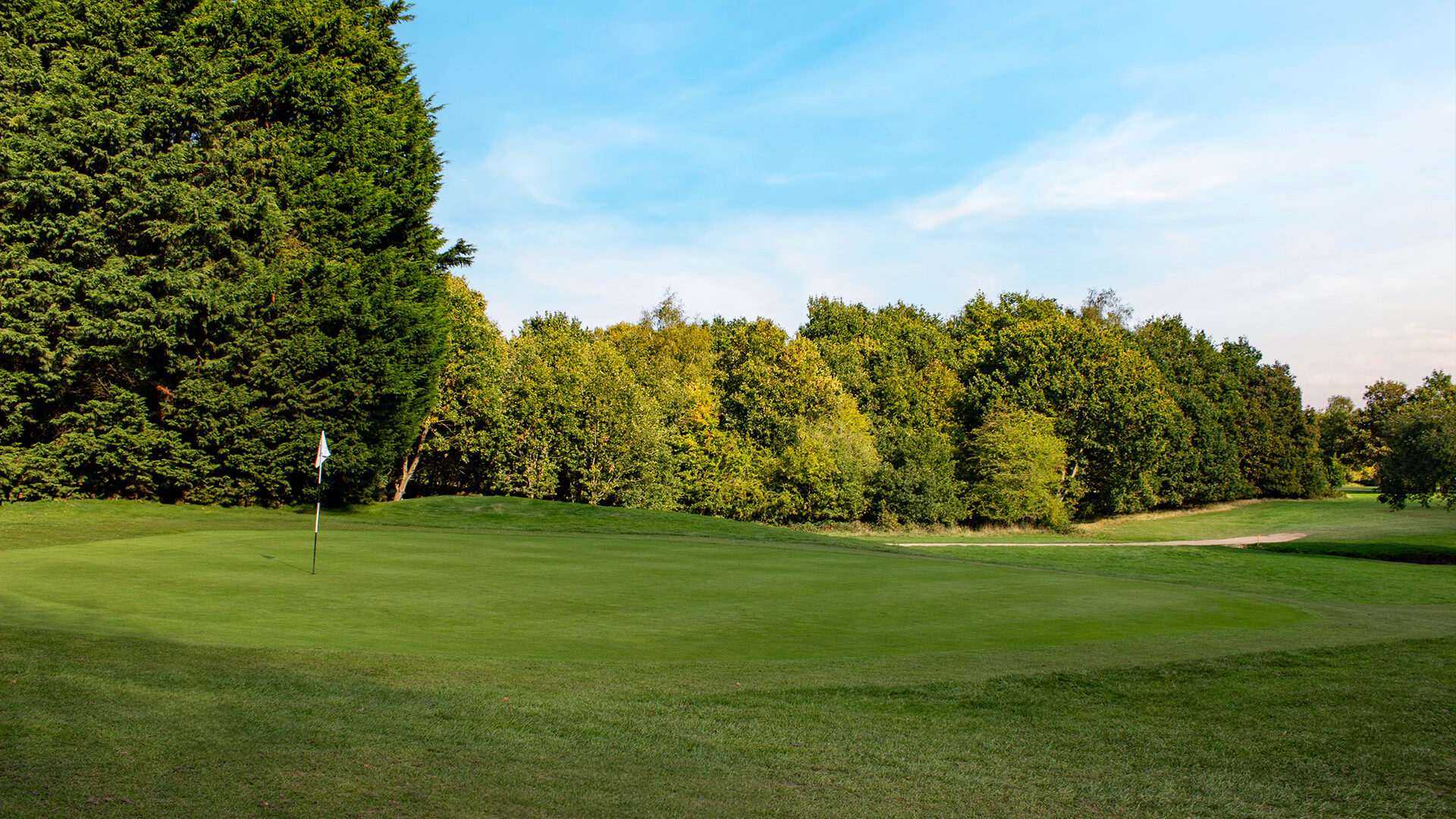 Downshire Golf Complex Hole 6 Green