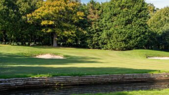 Downshire Golf Complex Hole 6 Green