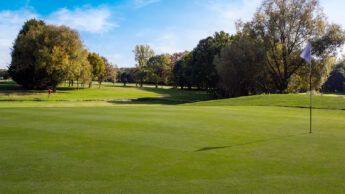 Downshire Golf Complex Hole 6 Green