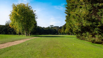 Downshire Golf Complex Hole 6 Tee