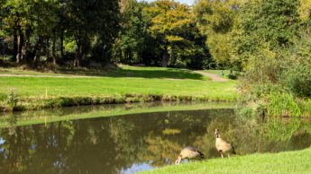 Downshire Golf Complex Hole 7 Pond and fairway