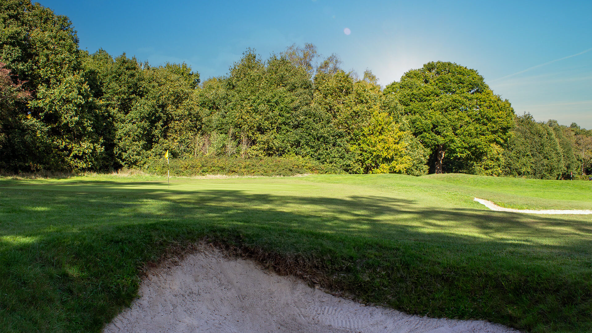 Downshire Golf Complex Hole 8 Green