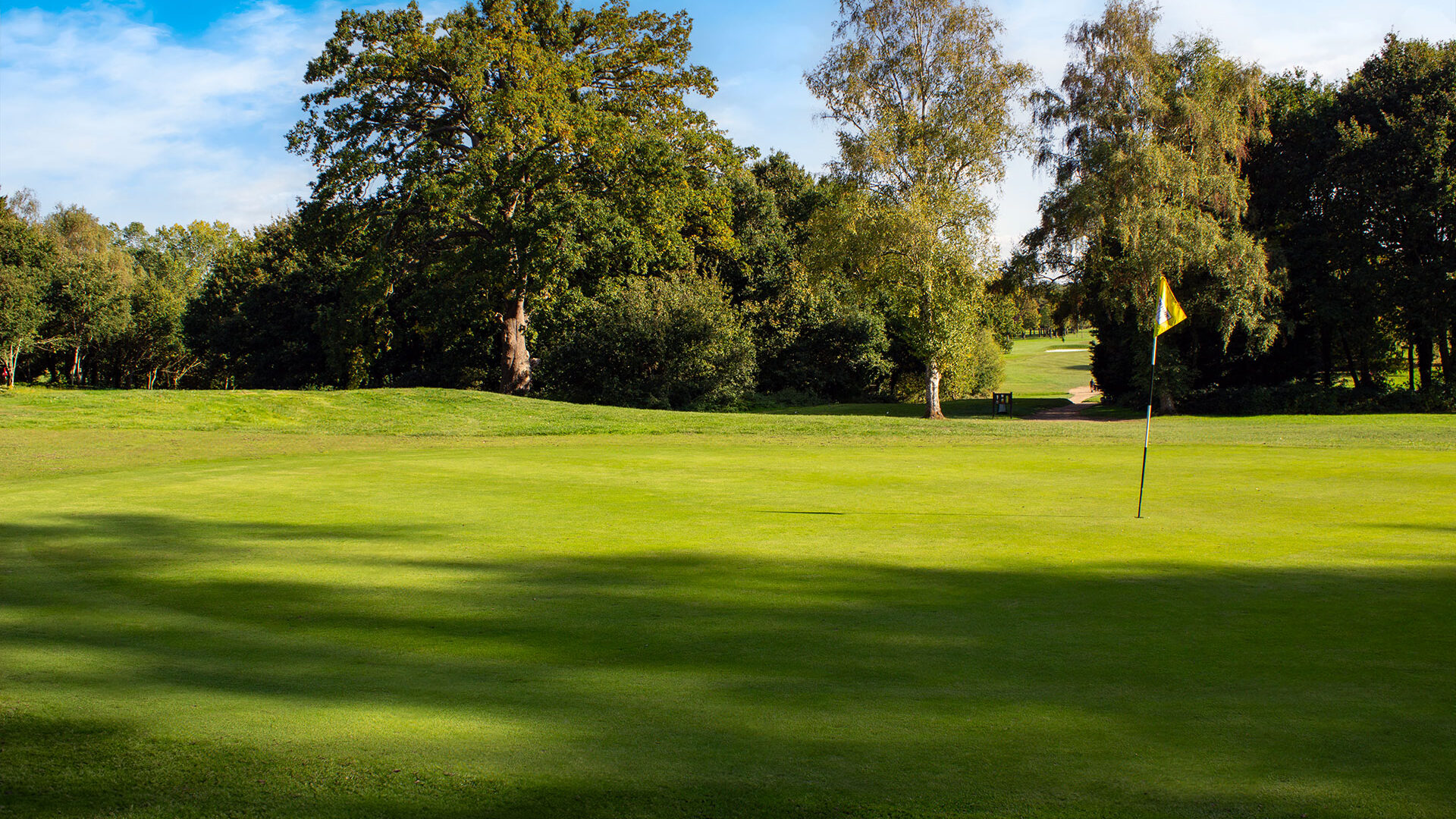Downshire Golf Complex Hole 8 Green