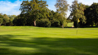 Downshire Golf Complex Hole 8 Green