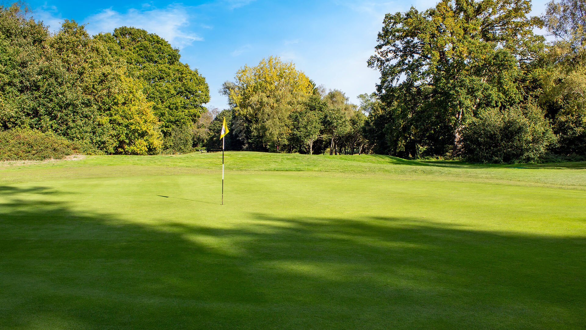 Downshire Golf Complex Hole 8 Green
