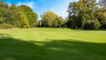 Downshire Golf Complex Hole 8 Green