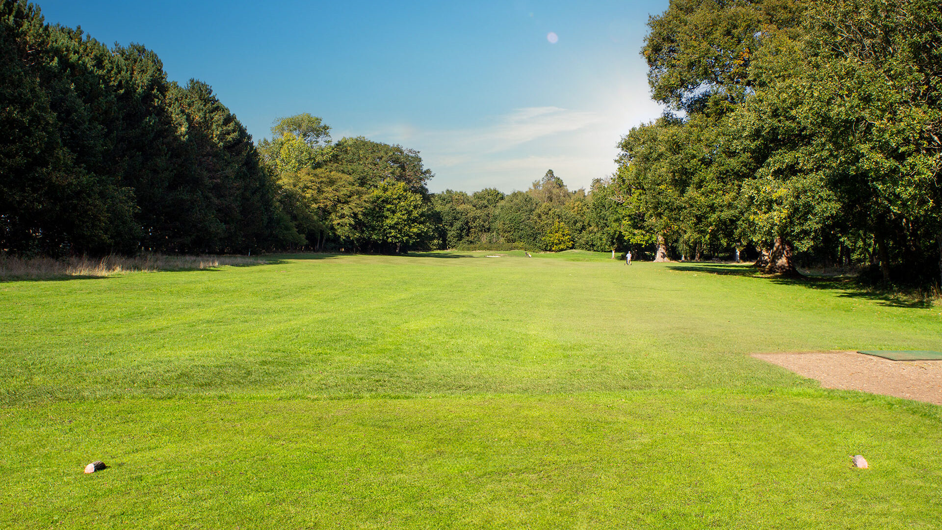 Downshire Golf Complex Hole 8 Tee