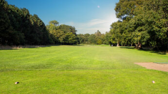 Downshire Golf Complex Hole 8 Tee