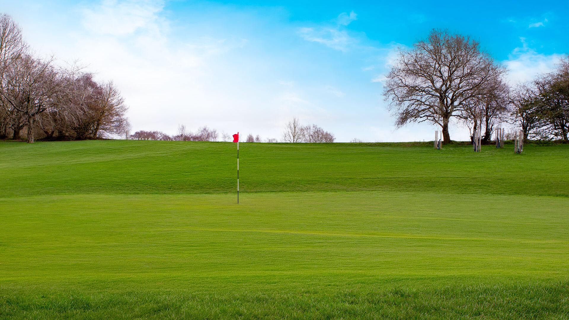 Cannock Park Golf Course - Hole 10 green