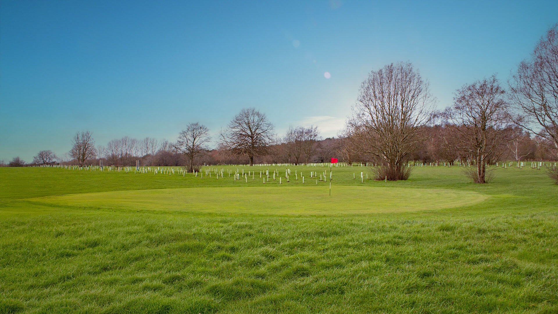Cannock Park Golf Course - Hole 11 green