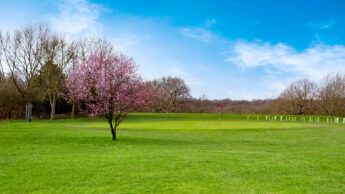 Cannock Park Golf Course - Hole 12 Fairway