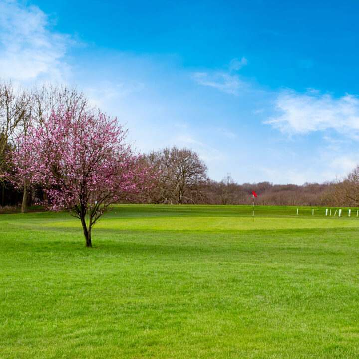 Cannock Park Golf Course - Hole 12 Fairway