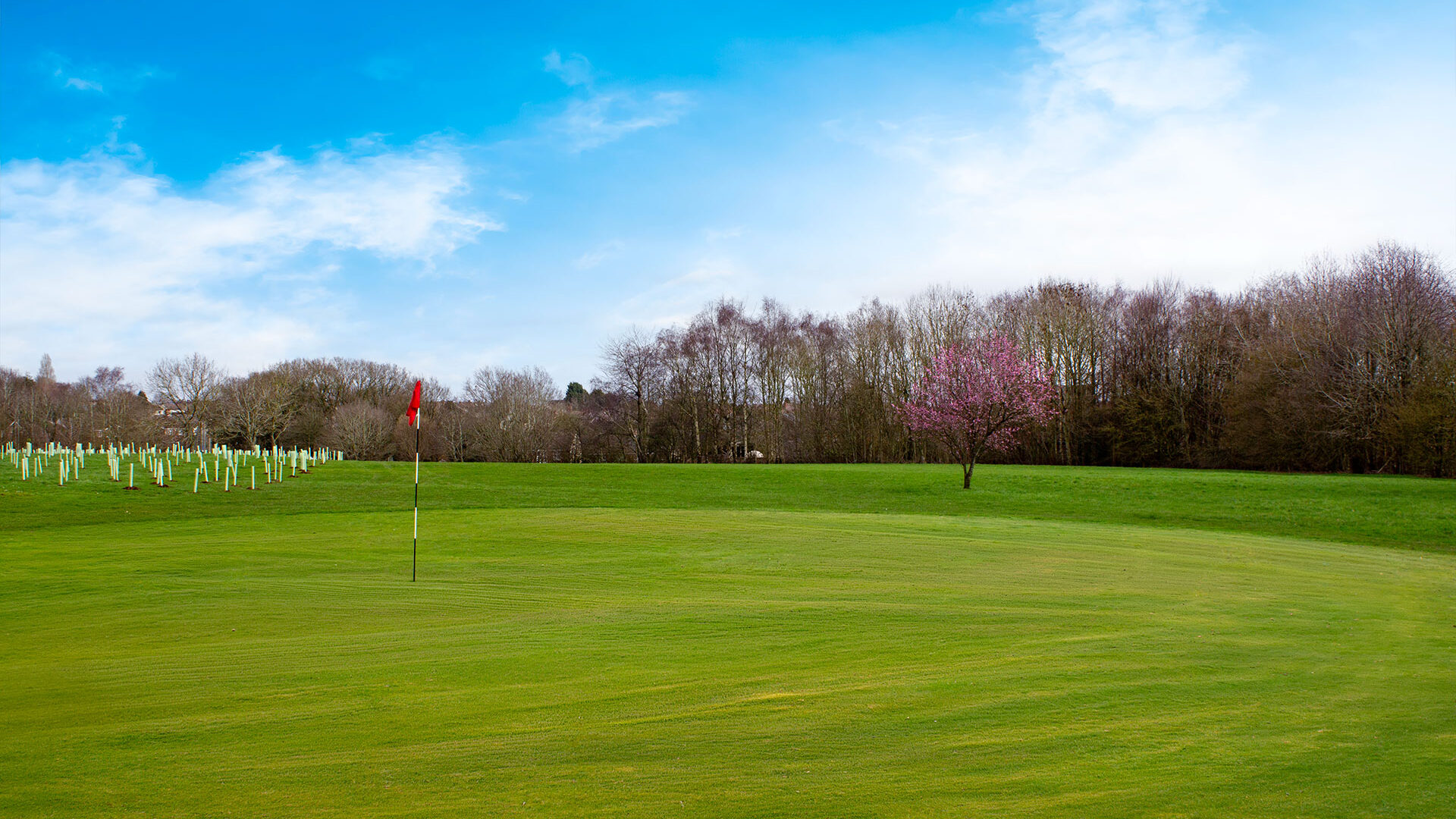 Cannock Park Golf Course - Hole 12 green