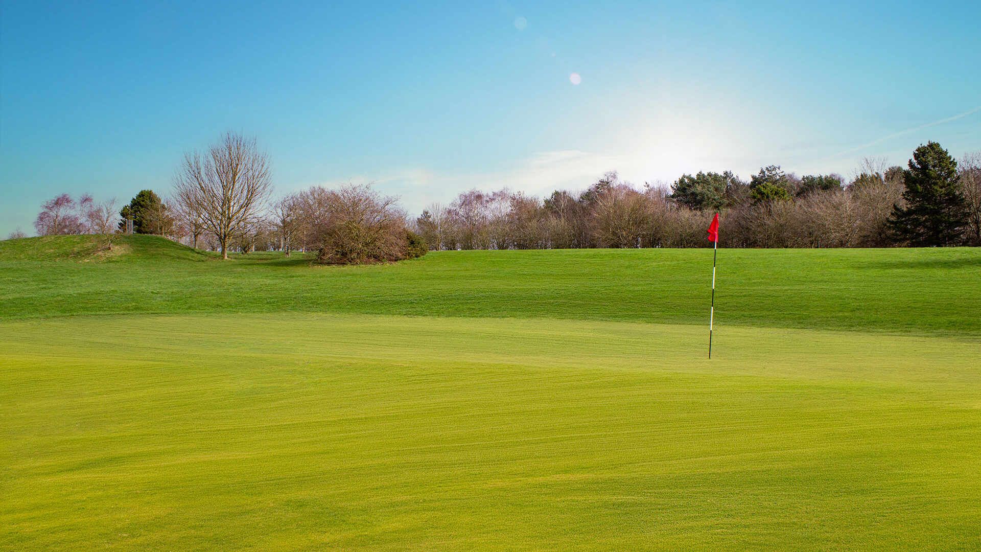Cannock Park Golf Course - Hole 13 green
