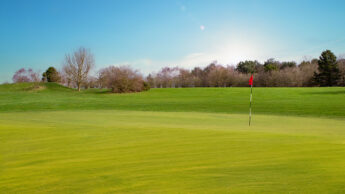 Cannock Park Golf Course - Hole 13 green