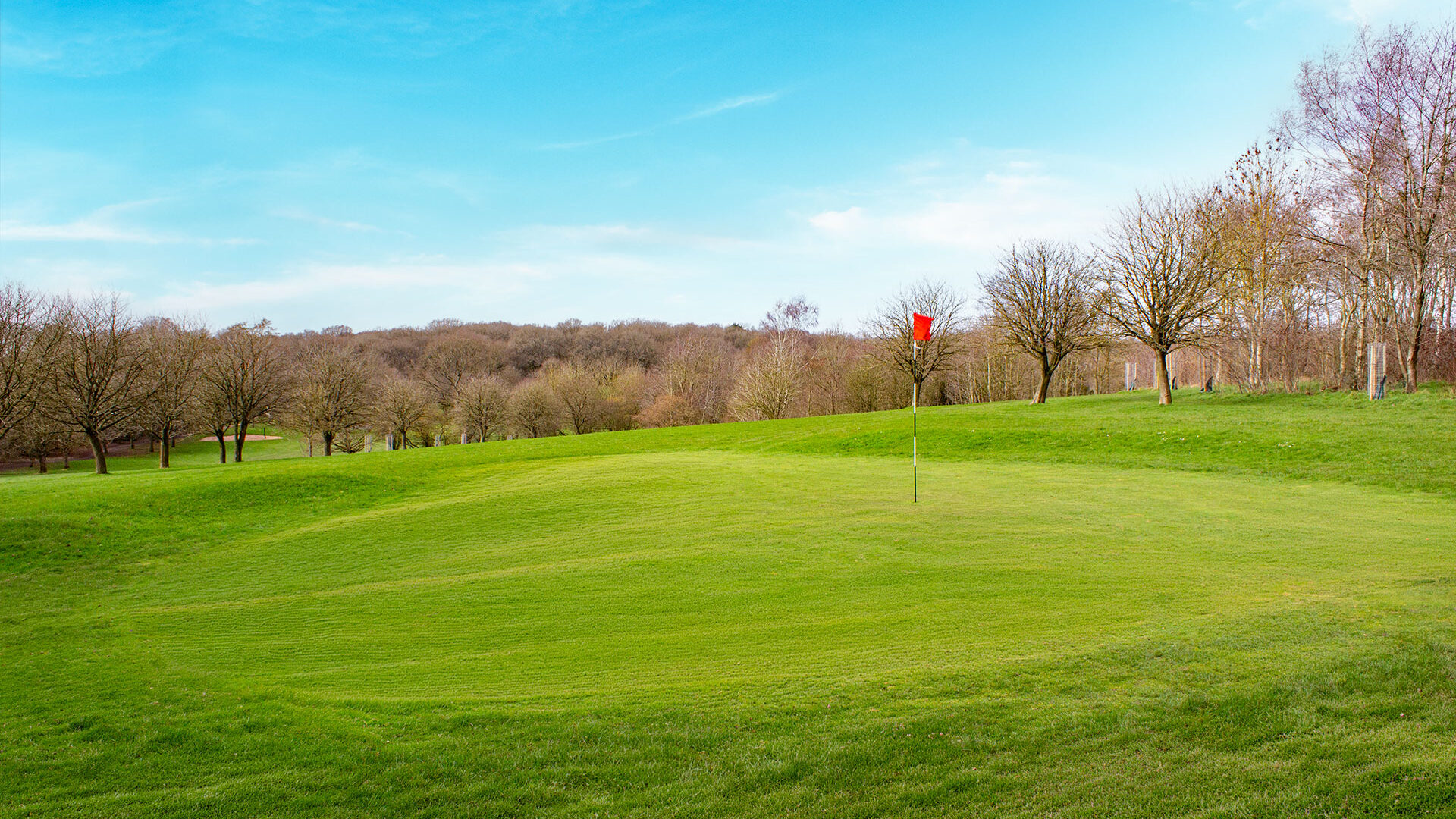 Cannock Park Golf Course - Hole 14 green