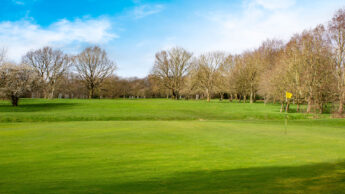 Cannock Park Golf Course - Hole 15 green