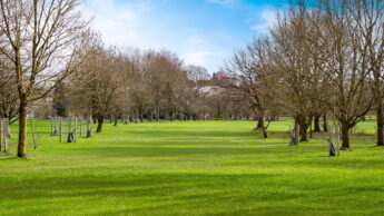 Cannock Park Golf Course - Hole 15 tee