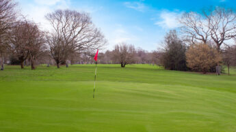 Cannock Park Golf Course - Hole 16 green