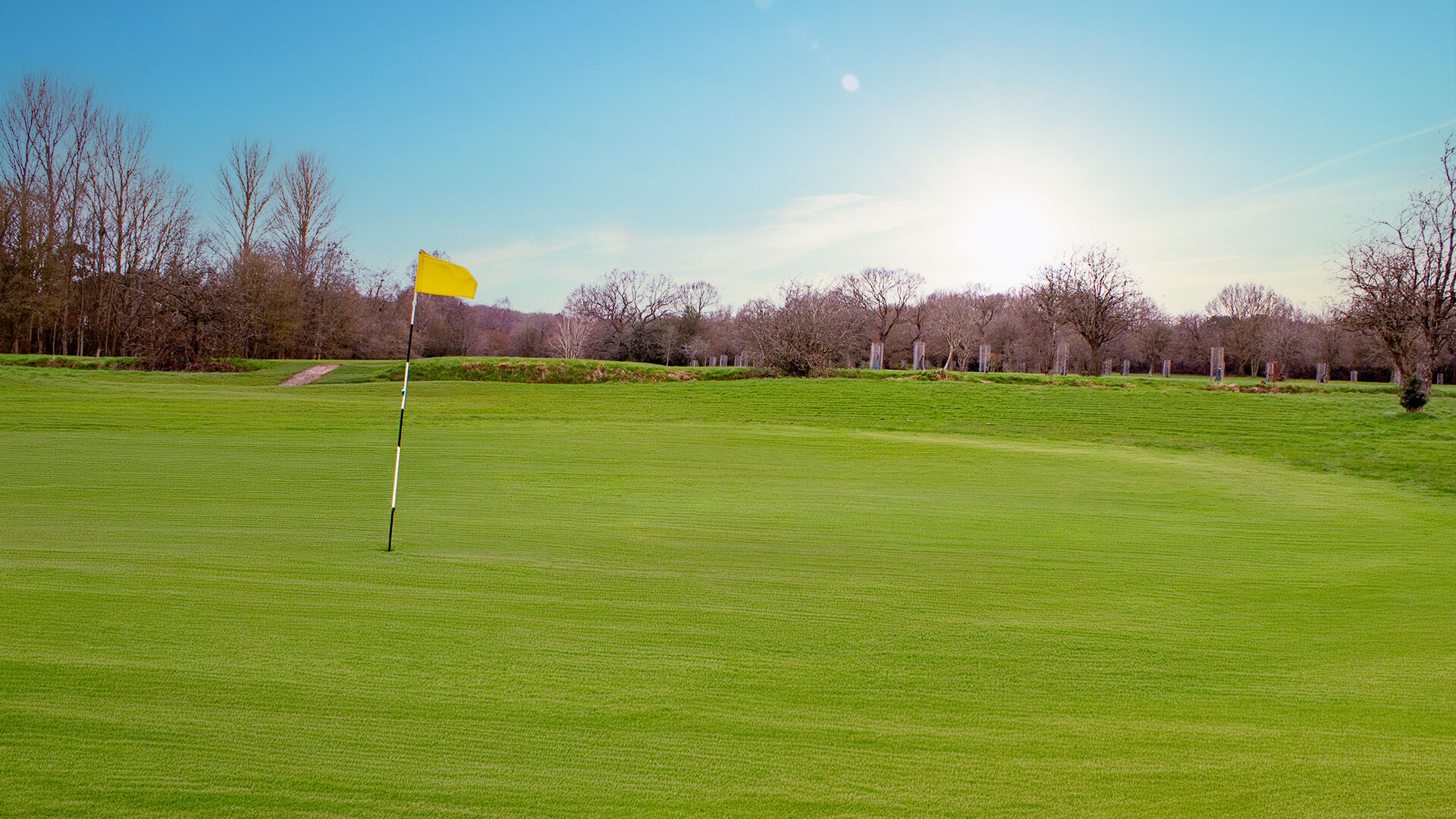 Cannock Park Golf Course - Hole 17 green