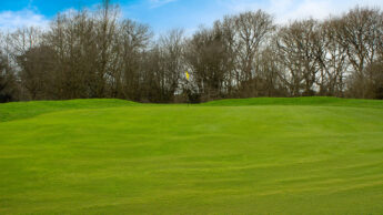 Cannock Park Golf Course - Hole 5 green