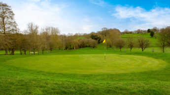 Cannock Park Golf Course - Hole 6 green