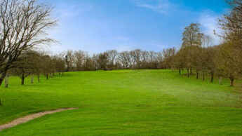 Cannock Park Golf Course - Hole 5 tee