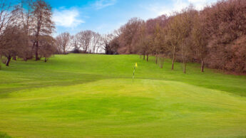 Cannock Park Golf Course - Hole 7 green