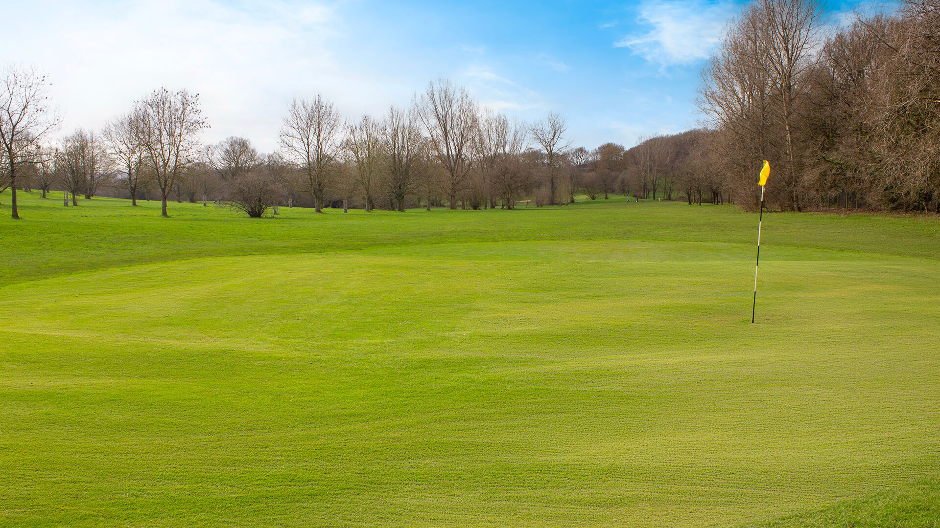 Cannock Park Golf Course - Hole 8 Green